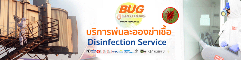 งาน รับด่วนเขตพัทยา พนักงานบริการทั่วไป กำจัดปลวก แมลง Bugsolutions Co., Ltd.