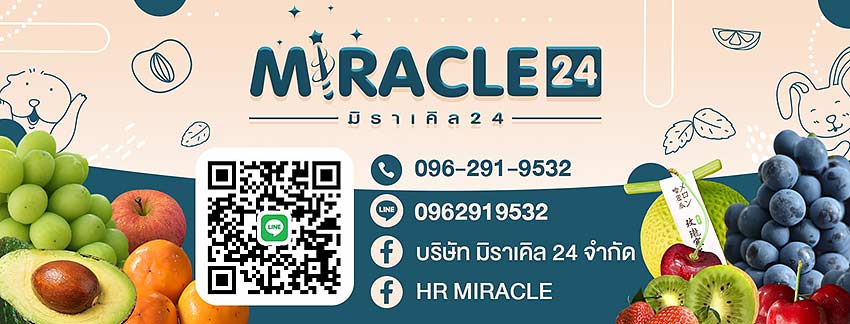 รายละเอียด บริษัท มิราเคิล 24 จำกัด