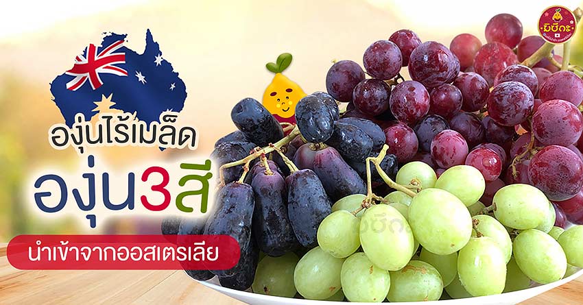 รายละเอียด บริษัท มิราเคิล 24 จำกัด